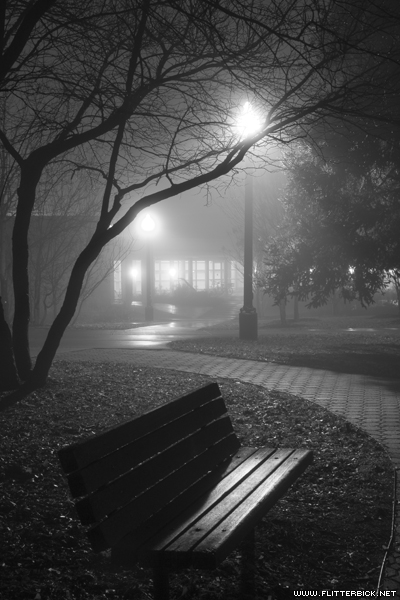 A foggy evening on the Grinnell College campus