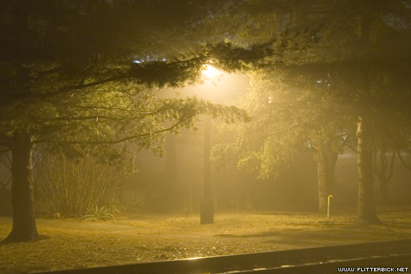 A foggy evening on the Grinnell College campus
