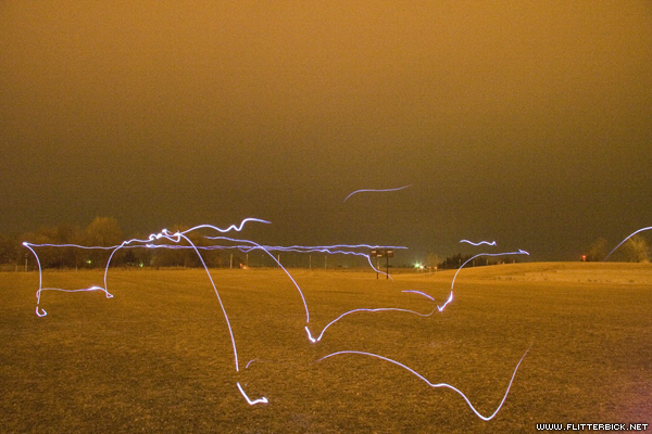 The stars failed to shine on 24 Feb, so I made my own star trails using an LED headlamp