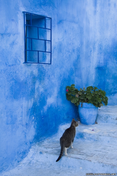 Blue-washed street in Rabat's Kasbah