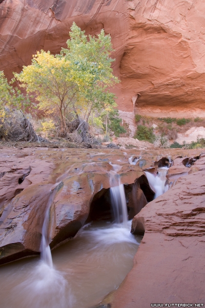 Fall color and small waterfalls in Coyote Gulch